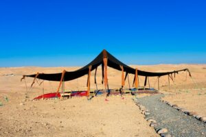 Agriculture à Dakhla