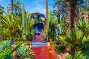 Jardin Majorelle - Yves Saint Laurent