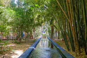 Jardins de Majorelle à Marrakech