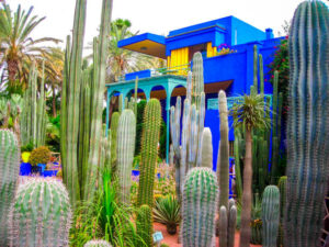 Les Jardins de Majorelle : Un Lieu de Recueillement et de Découverte