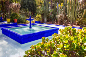 Ce que l'on Peut Découvrir aux Jardins de Majorelle