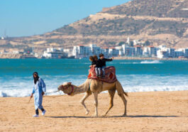 Meilleures activités à faire vers Agadir au Maroc et excursions