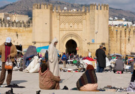 Meilleures activités à faire vers Fès au Maroc et excursions