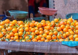 Clémentine au Maroc