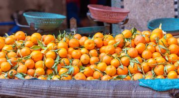 Clémentine au Maroc