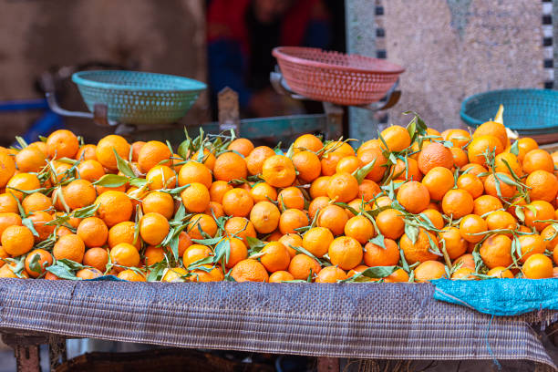 Clémentine au Maroc