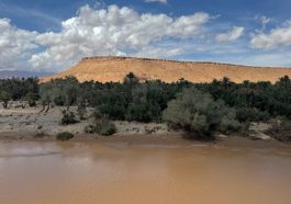 crée un long article optimisé seo de 2000 mots sur la ville de Taroudant au Maroc avec son histoire, ses monuments et les excursions à faire depuis Taroudant, son agriculture, les plats traditionnels et les pâtisseries. L'article doit être original et unique. Enlève moi les mots conclusion et introduction et mets des textes en gras avec la balise