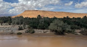 crée un long article optimisé seo de 2000 mots sur la ville de Taroudant au Maroc avec son histoire, ses monuments et les excursions à faire depuis Taroudant, son agriculture, les plats traditionnels et les pâtisseries. L'article doit être original et unique. Enlève moi les mots conclusion et introduction et mets des textes en gras avec la balise